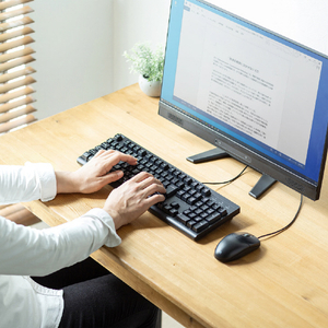 サンワサプライ 日本語109キーボード ブラック SKB-109PBK-イメージ2