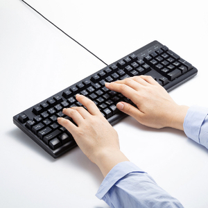 サンワサプライ 日本語109キーボード ブラック SKB-109PBK-イメージ3