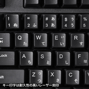 サンワサプライ 日本語109キーボード ブラック SKB-109PBK-イメージ6