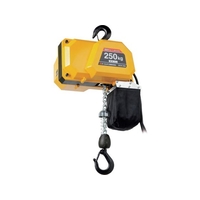 OH/電動チェーンホイスト 250Kg 揚程6m DCH-250 FC633YG-3827327