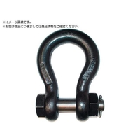 ＴＡＩＹＯ JISシャックル M級 黒 BB-24 1010523 JBB24 FC767ZG-5021592