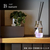 藤栄 B-nature JLリードディフューザー Amethyst BN036ｼﾞﾕｴﾘﾘﾄﾞｱﾒｼﾞｽﾄ-イメージ2