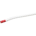 グリーンクロス クレモナSロープ 50m巻 10mm 6300023904 FC439WE-3774984