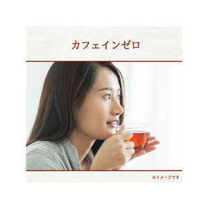 伊藤園 ヘルシールイボスティー ティーバッグ30袋 FC379RB-イメージ5