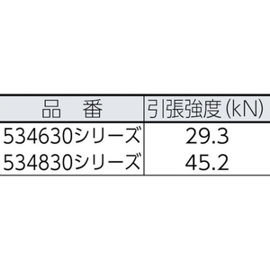 ＢｌｕｅＷａｔｅｒ セイフライン 9.5φ×91m 黒 FC100HE-7589735-イメージ2