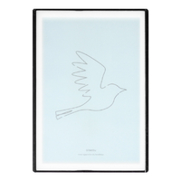 藤栄 アートまな板S バード ART001ｱ-ﾄﾏﾅｲﾀSﾊﾞ-ﾄﾞ