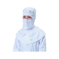 ブラストン マスク ホワイト (10枚入) FC386EG-4165403