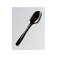 ホウケン産業 袋入 スプーン160 100本入 ブラック FC849LL-4370410