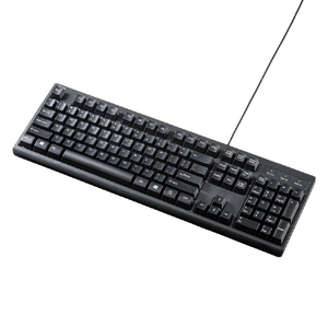 サンワサプライ 英語USBキーボード ブラック SKB-E5UBK サンワサプライ 英語USBキーボード ブラック SKB-E5UBK