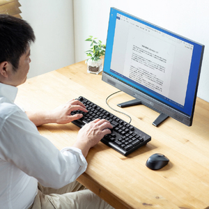 サンワサプライ 英語USBキーボード ブラック SKB-E5UBK-イメージ2