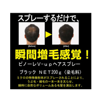 ピノーレ FC62065 V-UPヘアスプレー ブラック 200G |エディオン公式通販