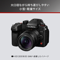 パナソニック H-ES12035 標準ズームレンズ LEICA DG VARIO-ELMARIT 12