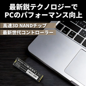 Verbatim 内蔵SSD NVMe PCIe Gen3．0x4 PCIe3．0 Vi3000シリーズ 512GB 49374-J-イメージ3