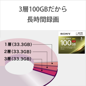 SONY 録画用100GB 3層 2倍速 BD-RE XL書換え型 ブルーレイディスク 3枚入り 3BNE3VEPS2-イメージ8