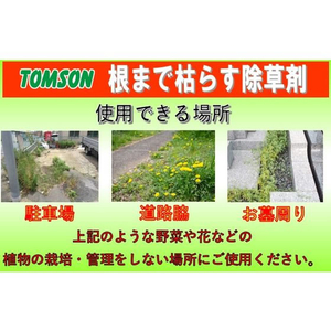 トムソンコーポレーション 根まで枯らす除草剤 20L FC972PT-イメージ2