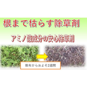 トムソンコーポレーション 根まで枯らす除草剤 20L FC972PT-イメージ3