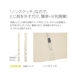 プラス 年組番氏名フラットファイル A4タテ アイボリー 10冊 FCA6354-79-273 NO021GA-イメージ6