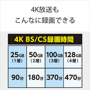 SONY 録画用100GB 3層 2倍速 BD-RE XL書換え型 ブルーレイディスク 10枚入り 10BNE3VEPS2-イメージ9