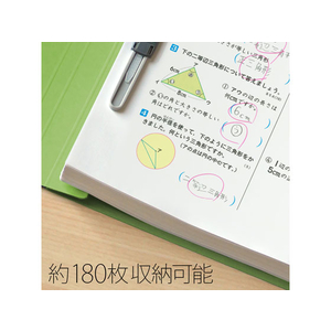 プラス 年組番氏名フラットファイル A4タテ リーフグリーン 10冊 FCA6355-79-274 NO021GA-イメージ5