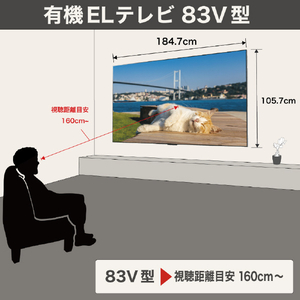 LGエレクトロニクス 有機ELテレビ OLED83G5PJA 83V型4Kチューナー内蔵有機ELテレビ OLED83G5PJA-イメージ4