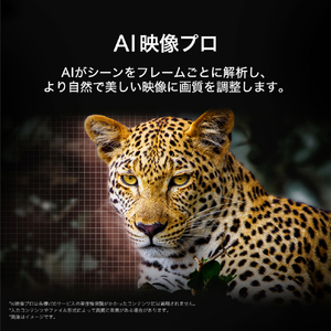 LGエレクトロニクス 有機ELテレビ OLED83G5PJA 83V型4Kチューナー内蔵有機ELテレビ OLED83G5PJA-イメージ7