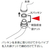 KVK パイプ部パッキンセット20 3/4 FCB337H-PZ42-20-イメージ2