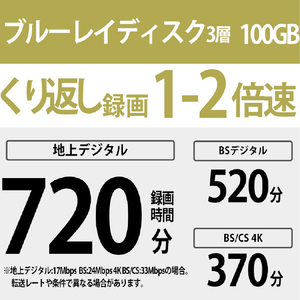 SONY 録画用100GB 3層 2倍速 BD-RE XL書換え型 ブルーレイディスク 11枚入り 11BNE3VZPS2-イメージ2