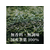 伊藤園 お～いお茶 濃い茶 600ml×24本 FCC2439-イメージ6