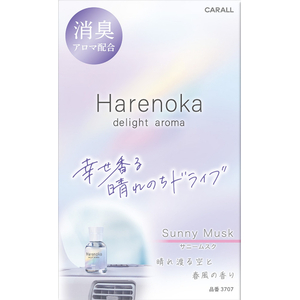 晴香堂 ハレノカリキッド サニームスク 100ml FCK129D-3707-イメージ2