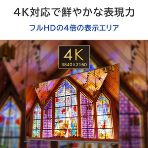 I・Oデータ 75型4K液晶ディスプレイ 抗菌モデル(受注生産) LCD-U751DX-AG-イメージ4