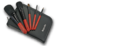 晃祐堂×EDION